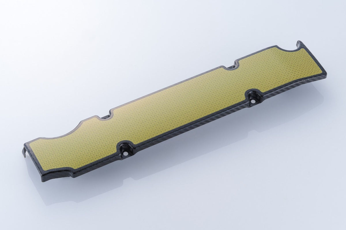 CARBON PLUG COVER,F20C