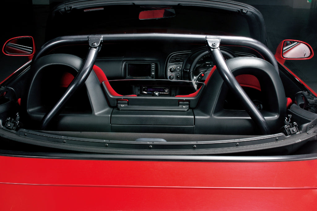 4P ROLL CAGE