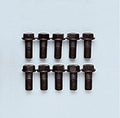 RING GEAR BOLT SET