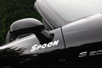 TEAM STICKER,BLACK[300mm]