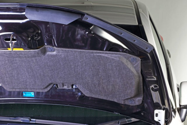 CARBON BONNET