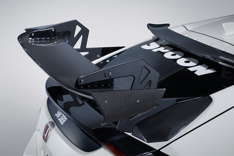 CRANE NECK WING[CARBON]