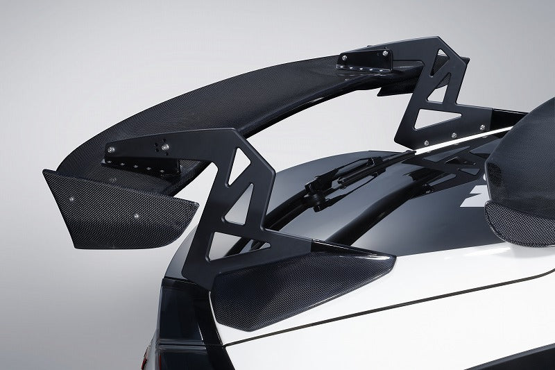 CRANE NECK WING[CARBON]