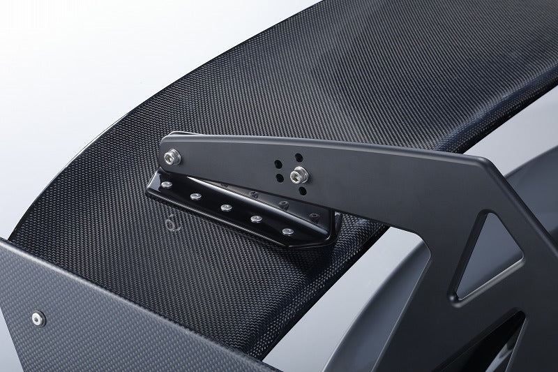 CRANE NECK WING[CARBON]