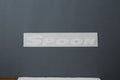 TEAM STICKER,WHITE[300mm]