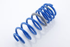 SPRING RUBBER S